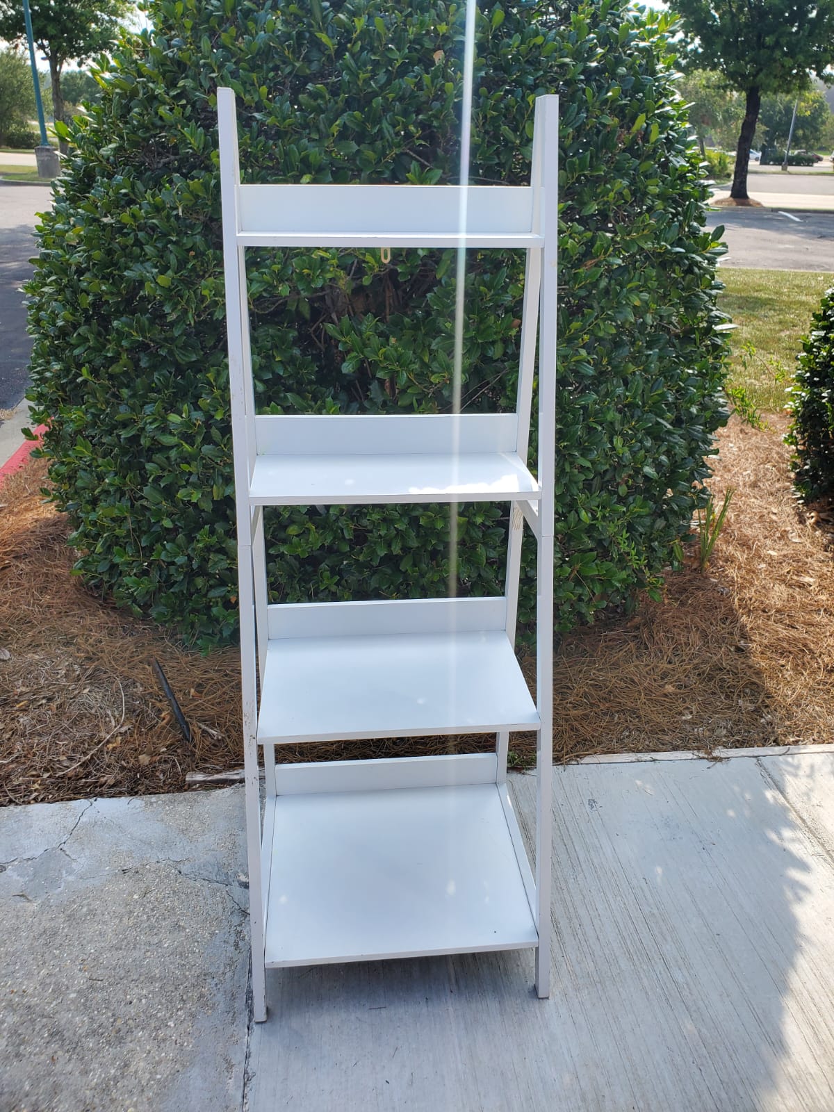 4 Tier Ladder Shelf Rental