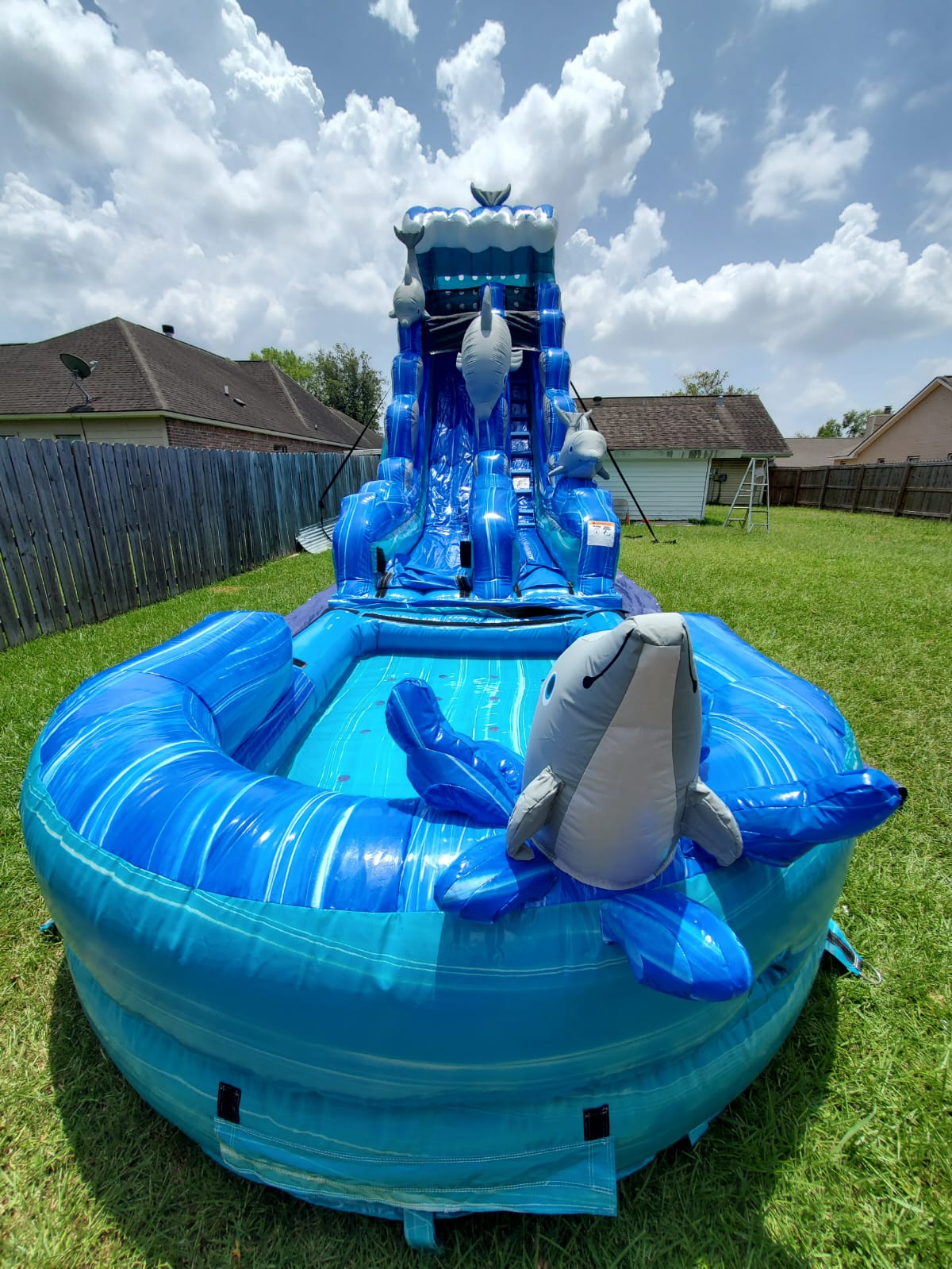 Dolphin Splash Water Slide