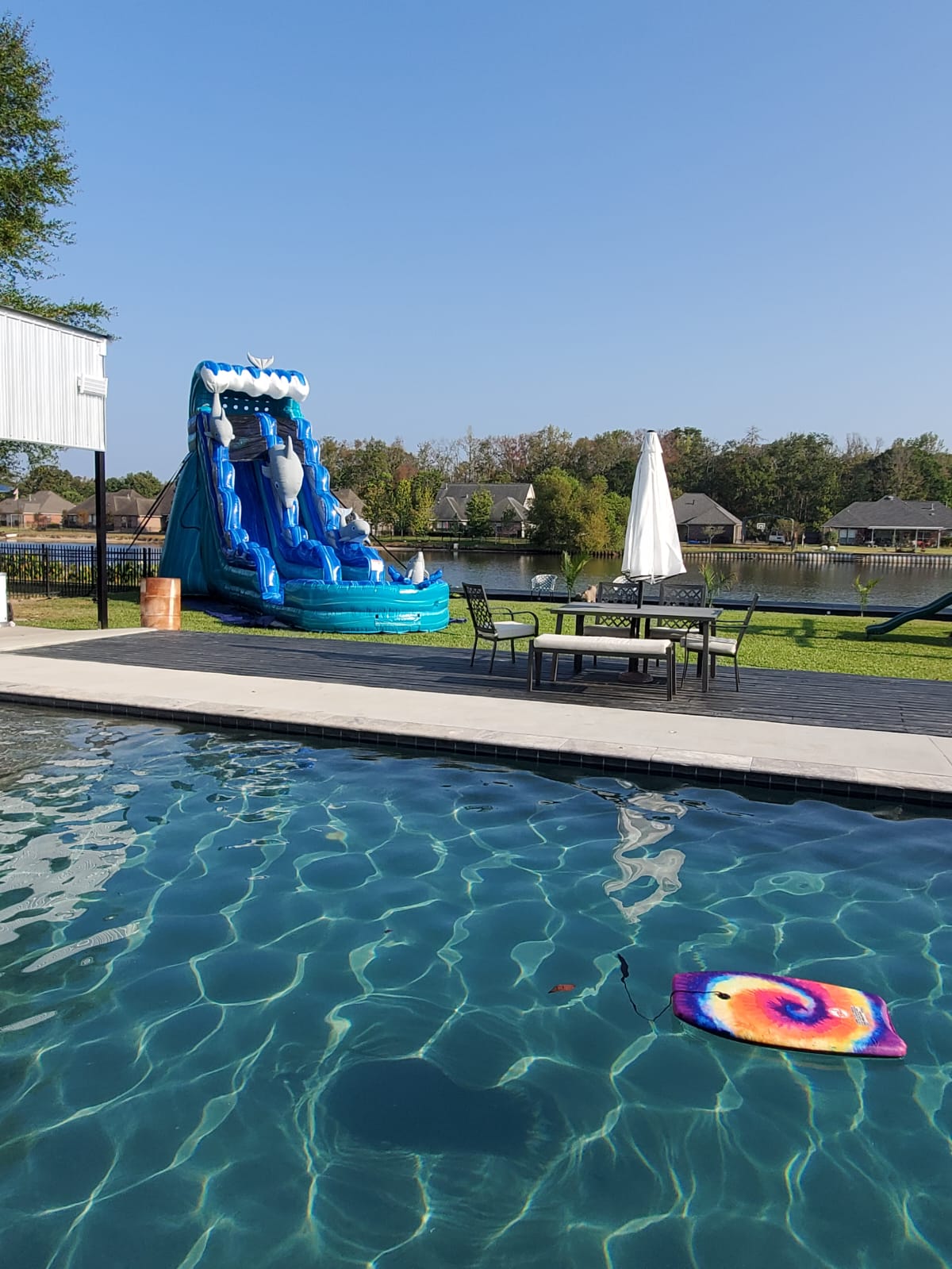 Dolphin Splash Water Slide