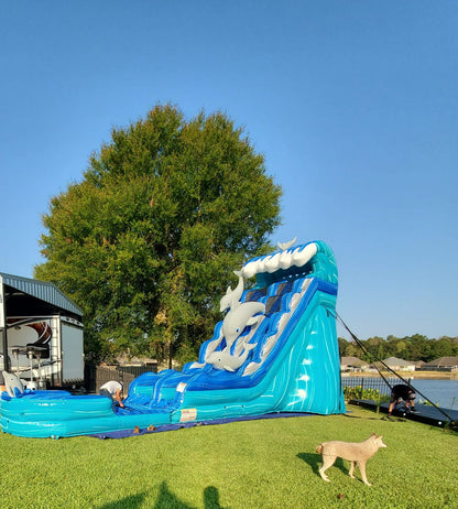 Dolphin Splash Water Slide