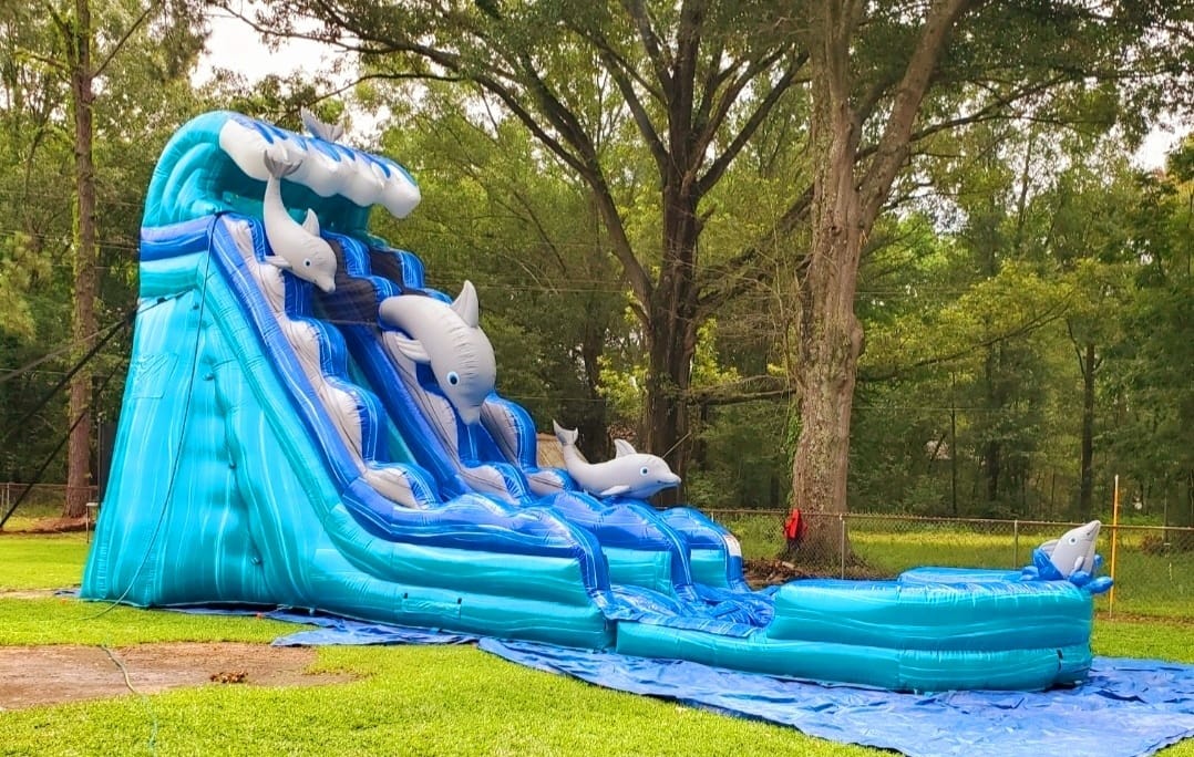 Dolphin Splash Water Slide
