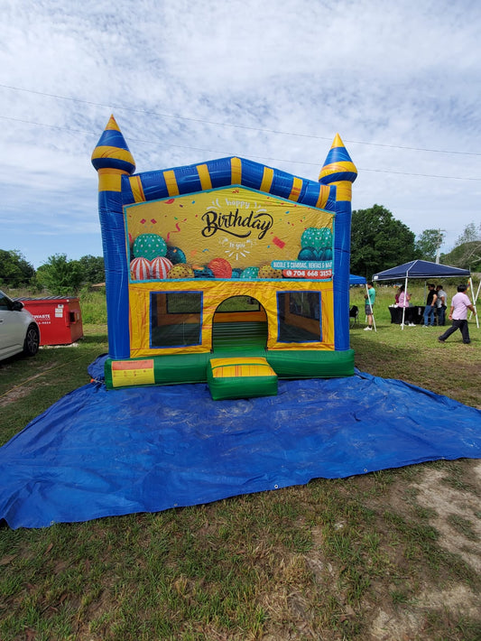 Birthday Party Castle Bounce House