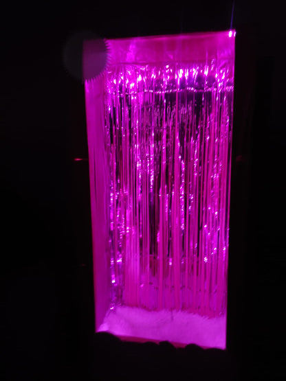 Barbie Photo Booth Rental