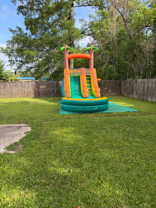 Palms water slide !Rental!