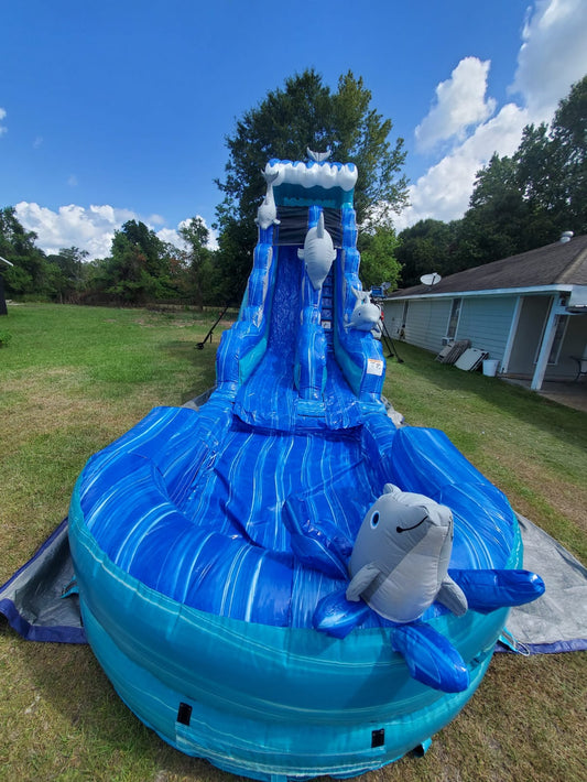 Dolphin Splash Water Slide
