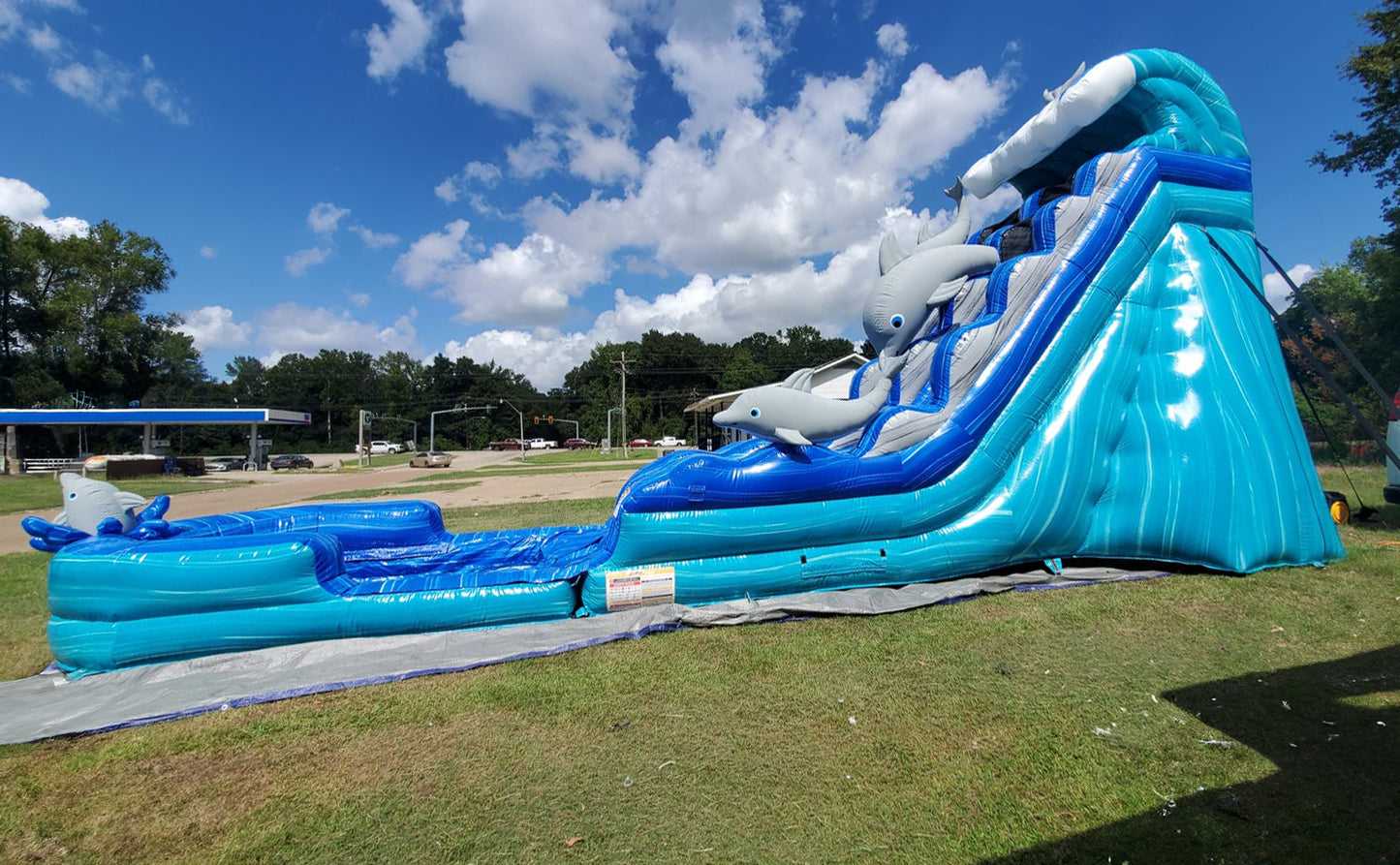 Dolphin Splash Water Slide