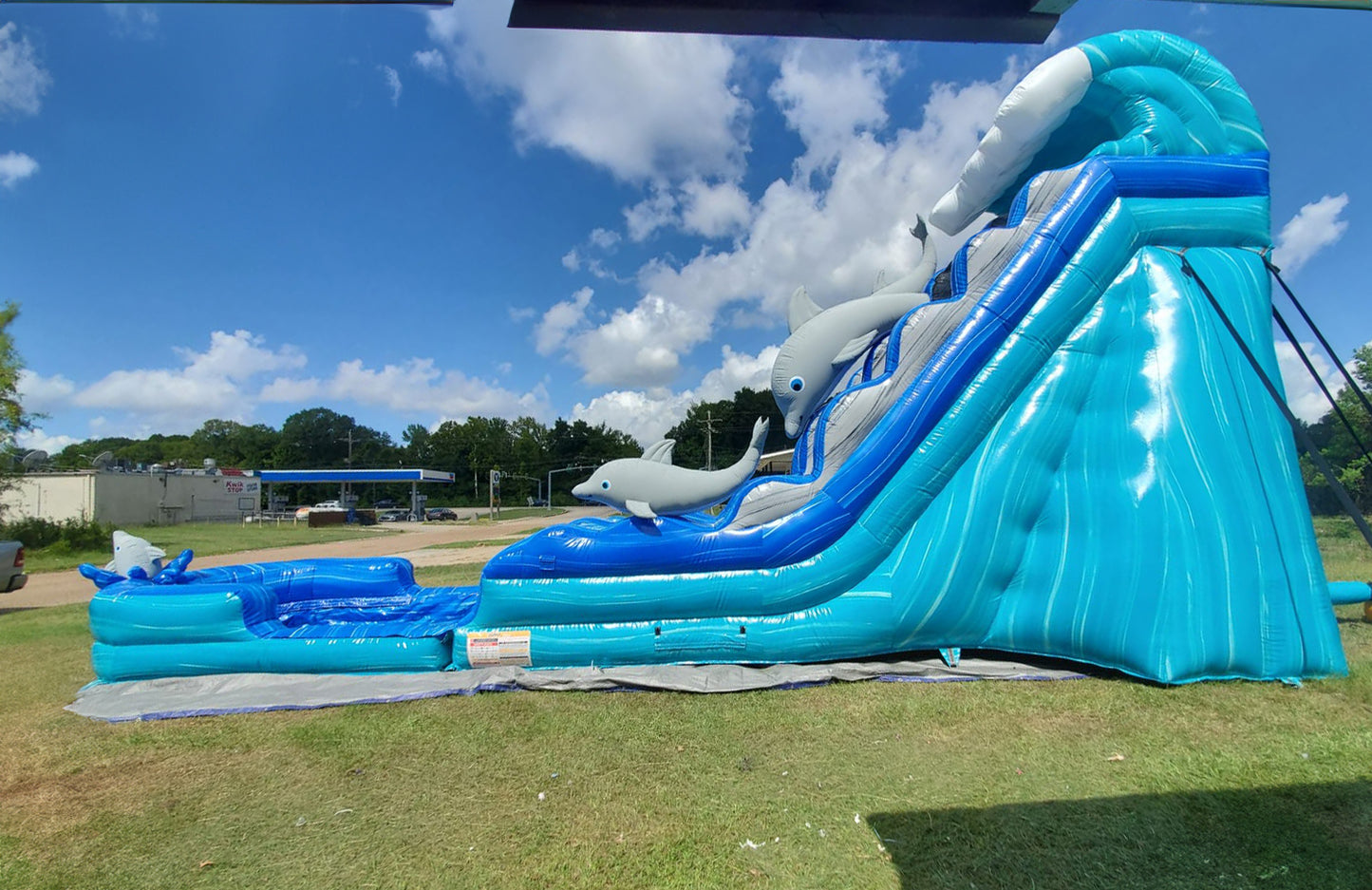 Dolphin Splash Water Slide