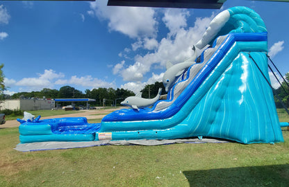 Dolphin Splash Water Slide